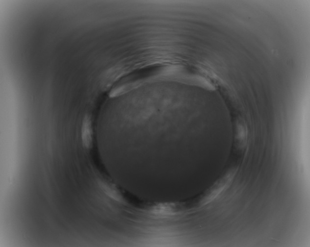 X0000088140080200705211144