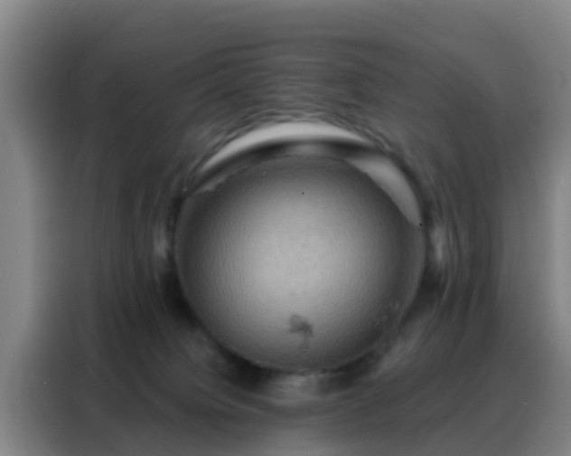 X0000088140084200705211144
