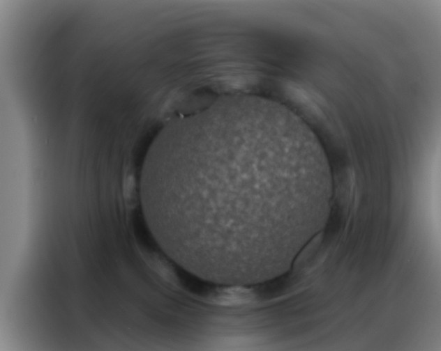 X0000088140087200705211144