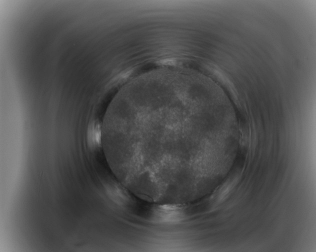 X0000088140095200705211144