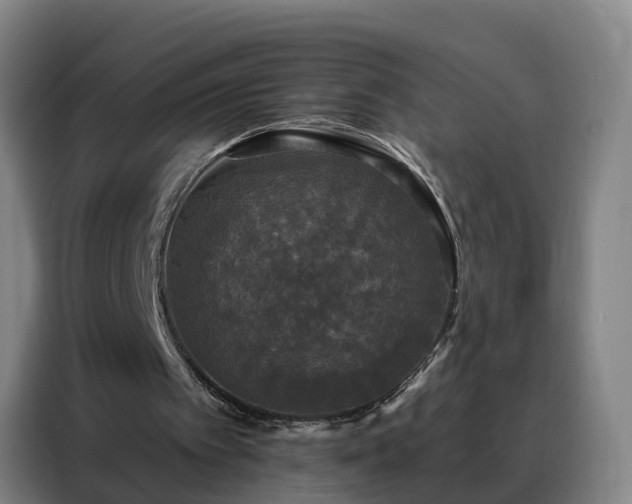 X0000088140097200705211144