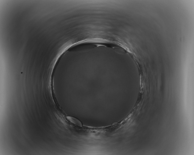 X0000088140099200705211144