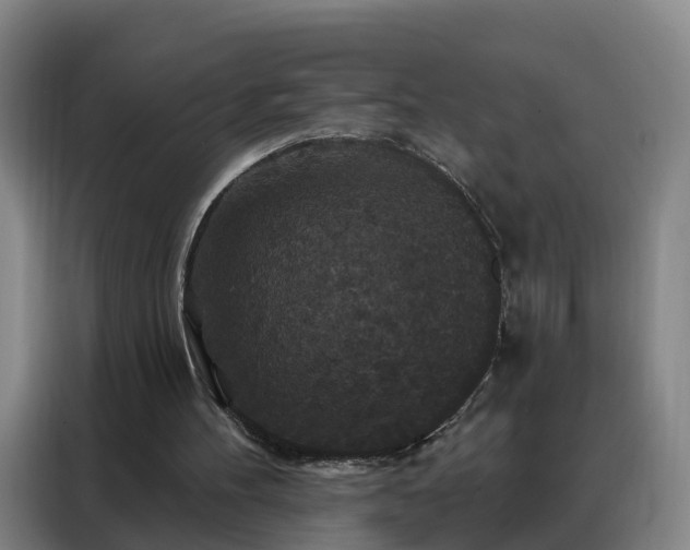 X0000088140100200705211144