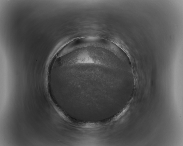 X0000088140101200705211144