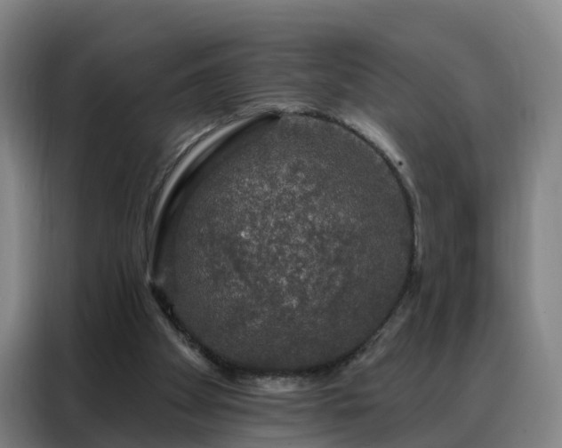 X0000088140105200705211144