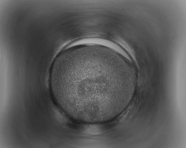 X0000088140107200705211144