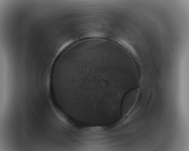 X0000088140108200705211144