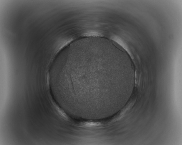 X0000088140109200705211144