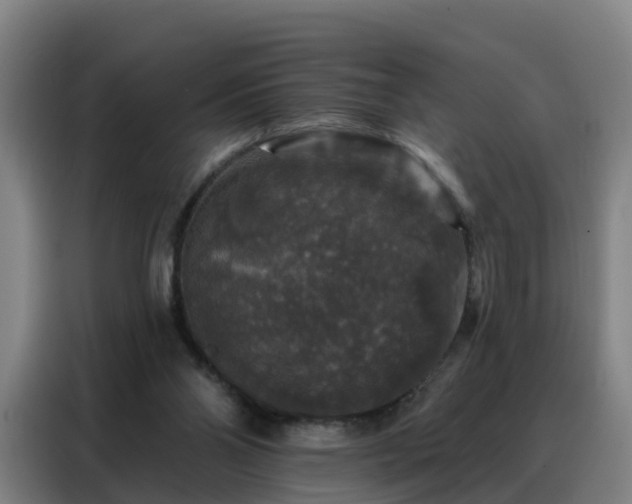 X0000088140110200705211144