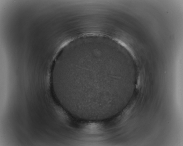 X0000088140111200705211143