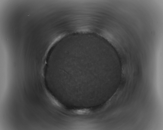 X0000088140112200705211143