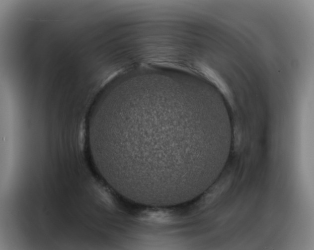 X0000088140113200705211143
