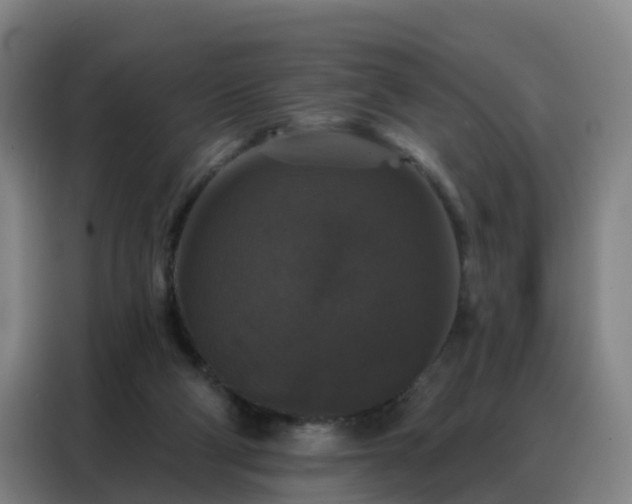 X0000088140114200705211143