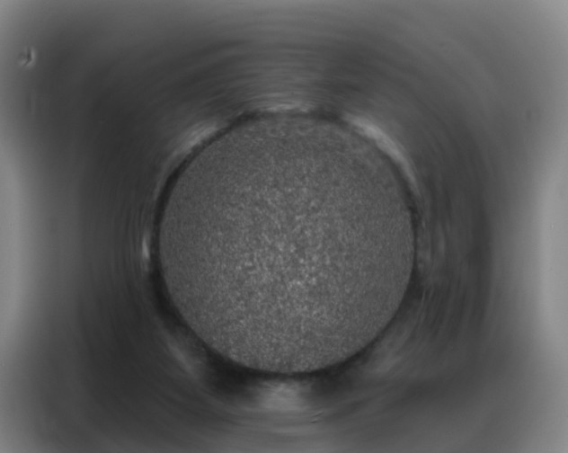 X0000088140115200705211143