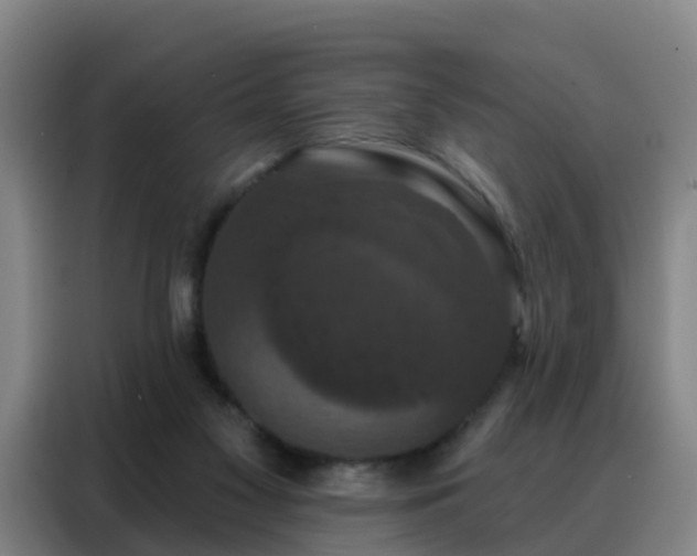 X0000088140117200705211143