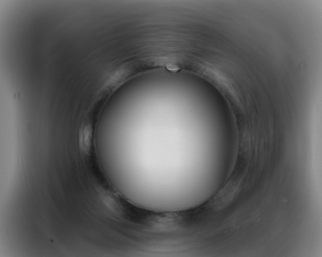 X0000088140118200705211143