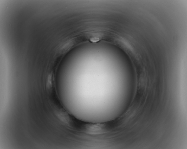 X0000088140122200705211143