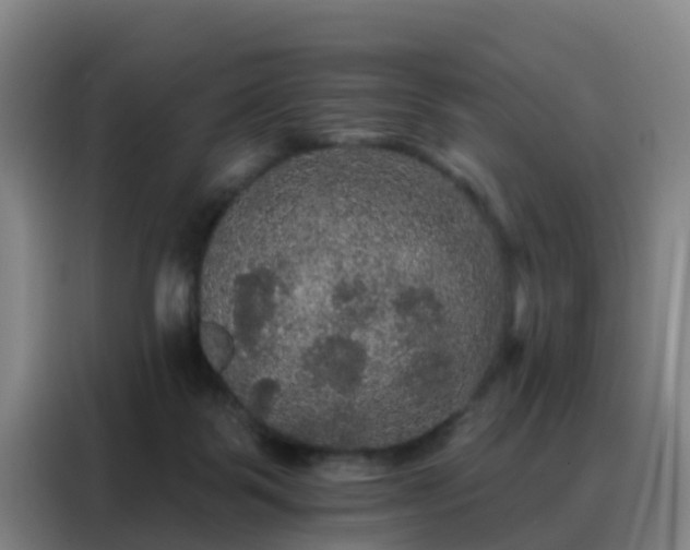 X0000088140123200705211143