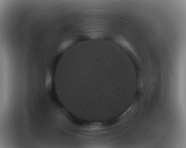 X0000088140124200705211143