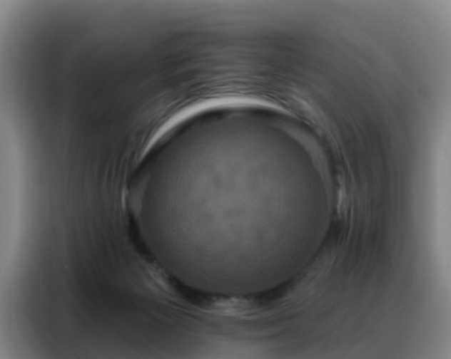 X0000088140125200705211143