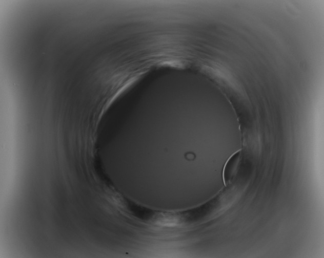 X0000088140127200705211143