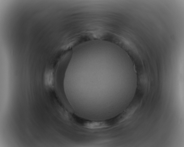 X0000088140129200705211143