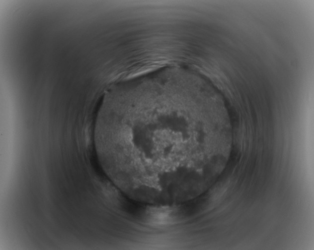 X0000088140131200705211143