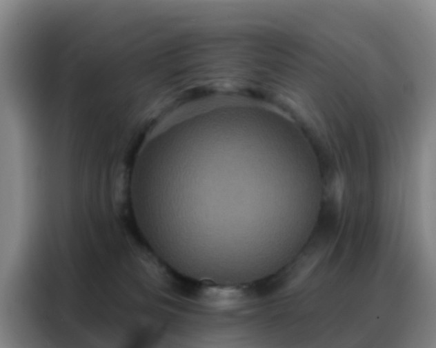 X0000088140133200705211143