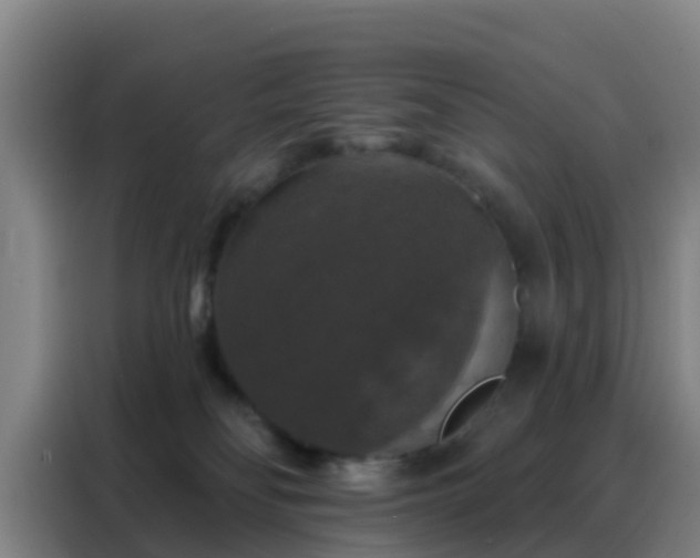 X0000088140134200705211143