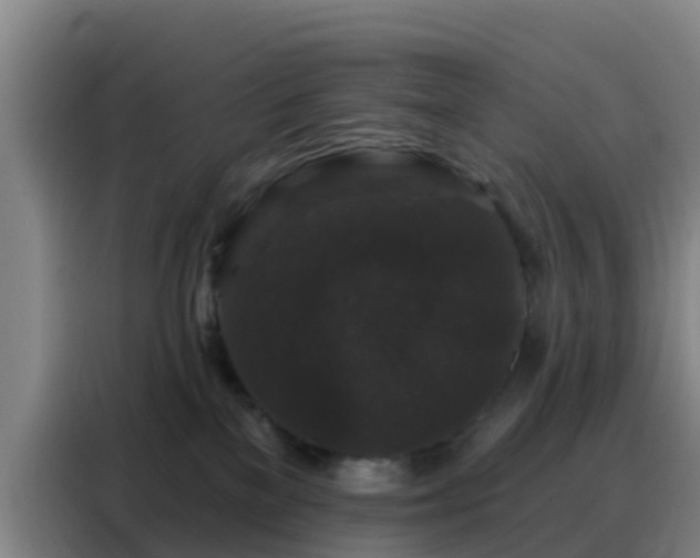 X0000088140137200705211143