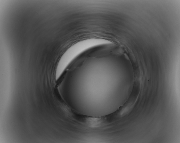 X0000088140139200705211143