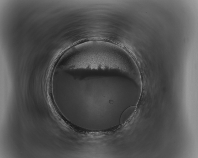 X0000088140145200705211142