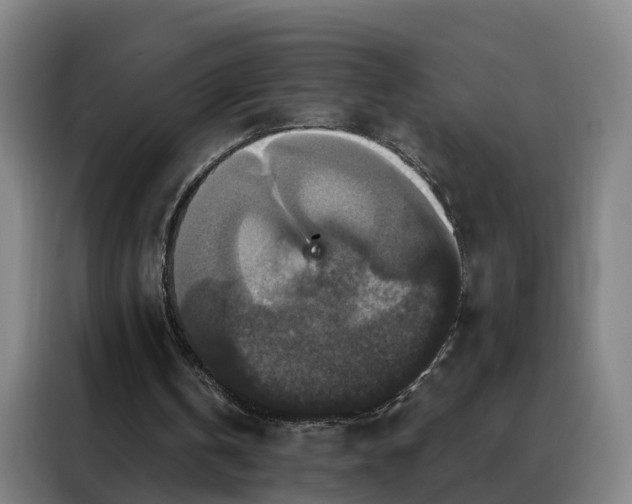 X0000088140146200705211142