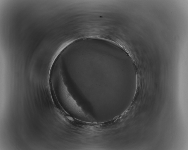 X0000088140147200705211142