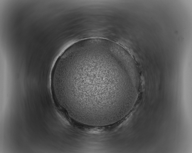 X0000088140148200705211142