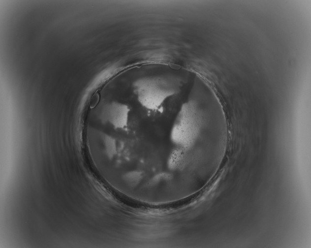 X0000088140149200705211142
