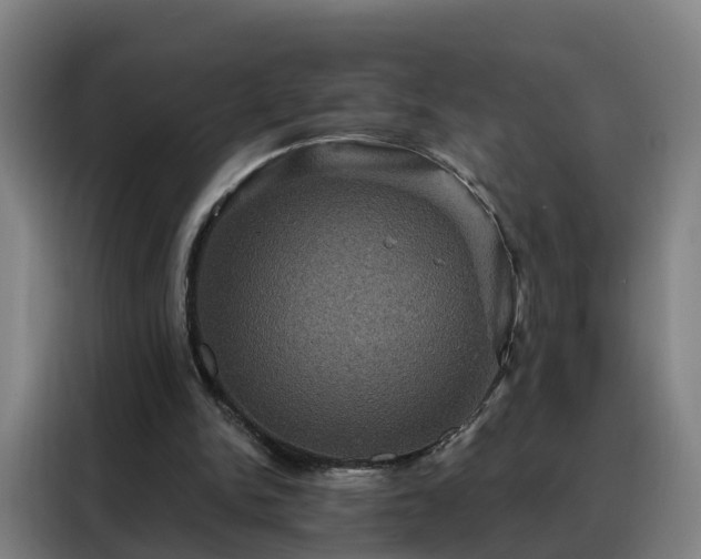X0000088140150200705211143