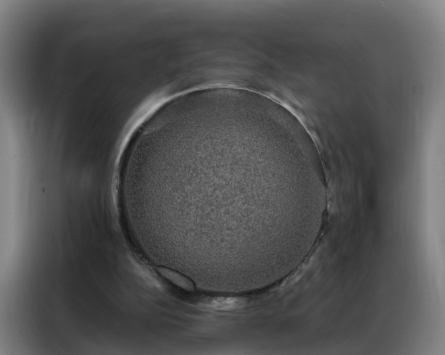 X0000088140152200705211143