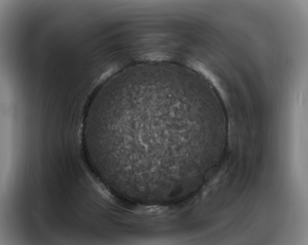 X0000088140153200705211143