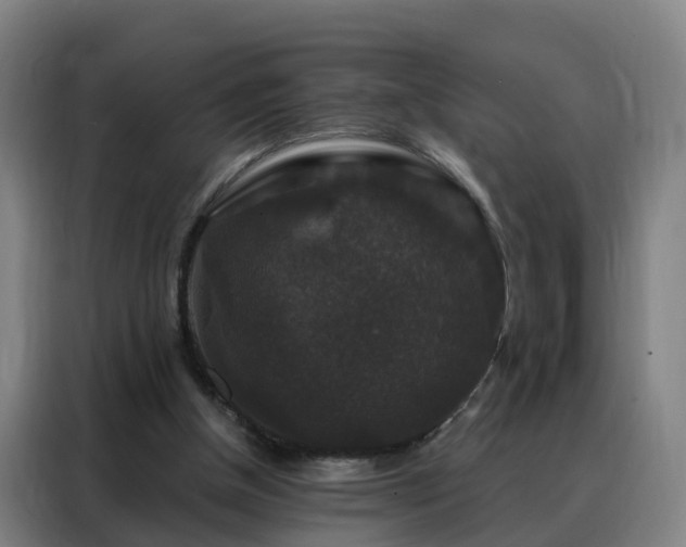 X0000088140154200705211143