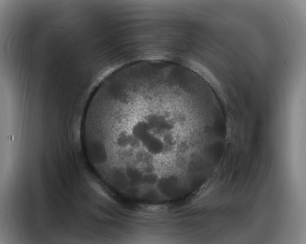 X0000088140155200705211143