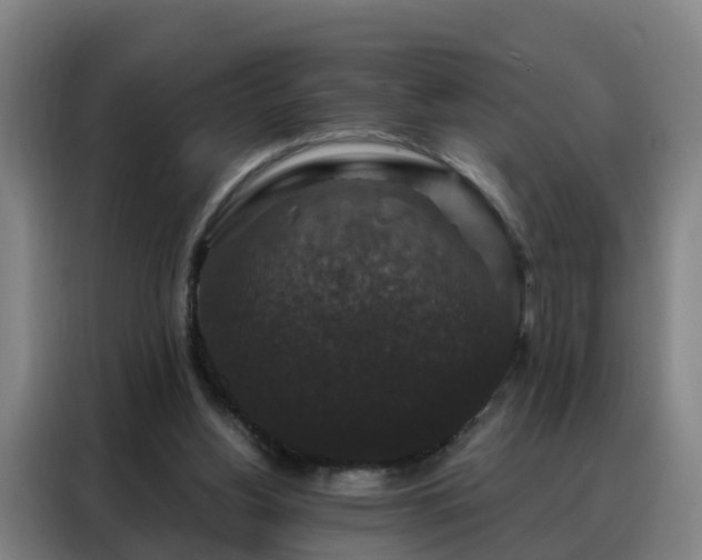X0000088140156200705211143