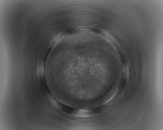 X0000088140158200705211143