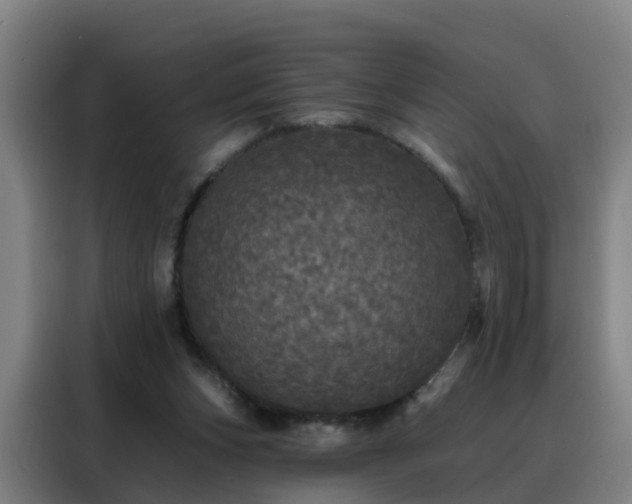 X0000088140159200705211143
