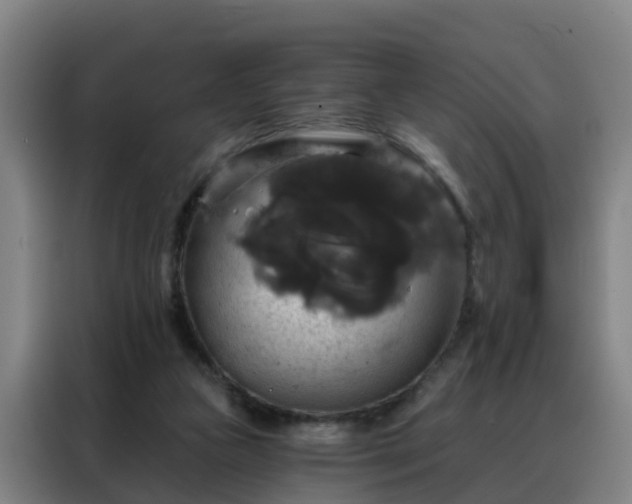 X0000088140161200705211143