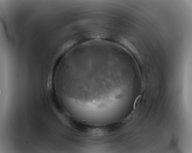 X0000088140163200705211143