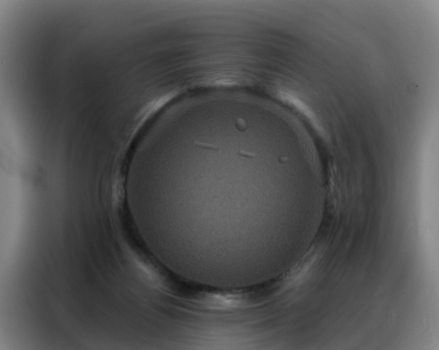 X0000088140164200705211143