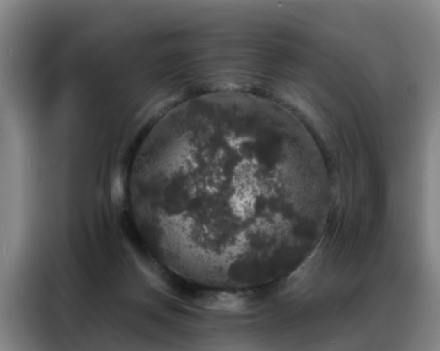 X0000088140166200705211143