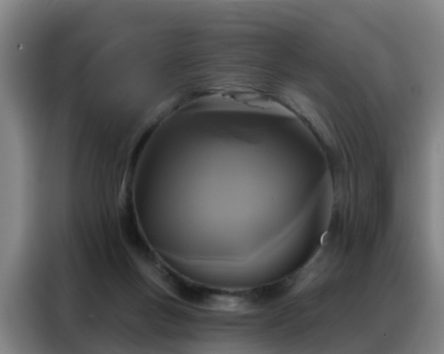 X0000088140167200705211143