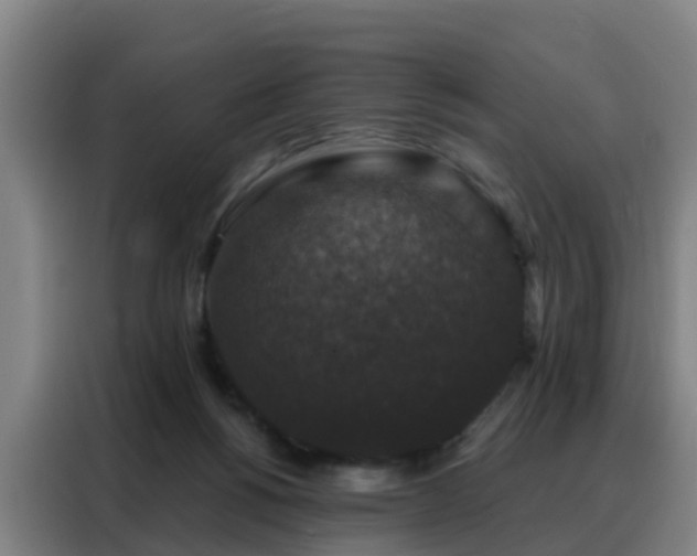 X0000088140168200705211143
